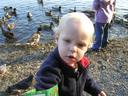 20 months feeding ducks.JPG